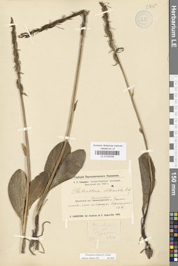 LE 01030208