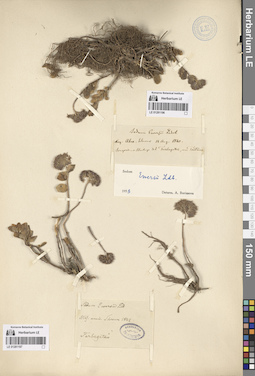LE 01281196