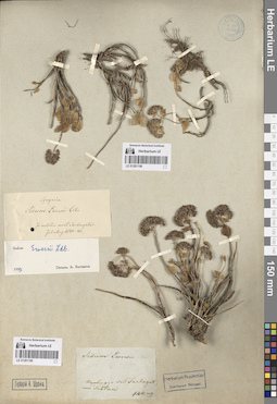 LE 01281198