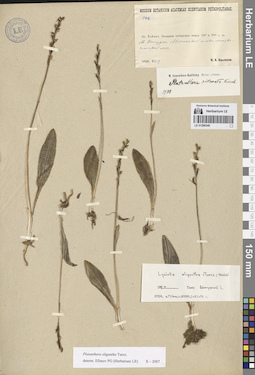 LE 01286340