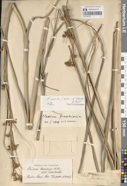 LE 01283197