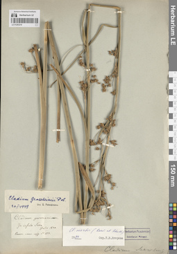 LE 01283219