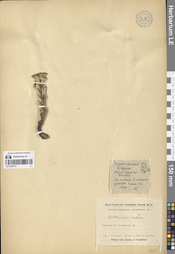 LE 01281771