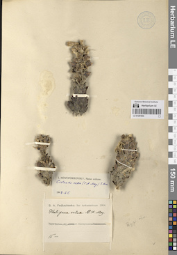 LE 01281904
