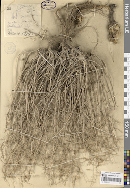 LE 01281917