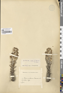 LE 01281937