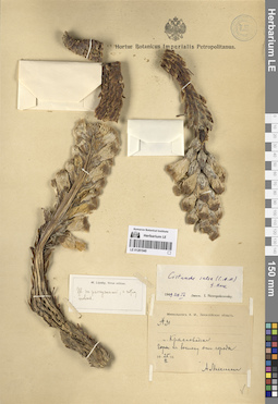 LE 01281940