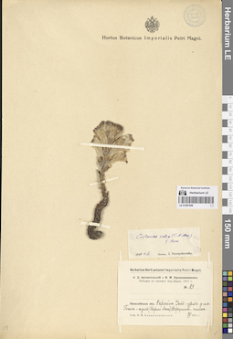 LE 01281948