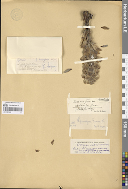LE 01281949