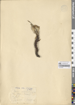 LE 01281953
