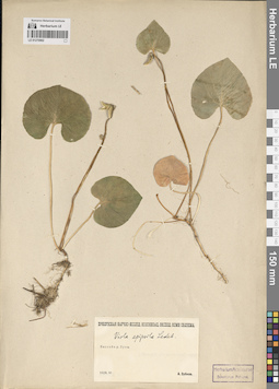 LE 01270902
