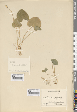 LE 01270918