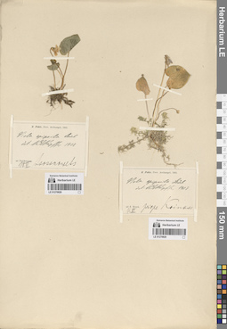 LE 01270929