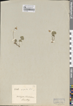 LE 01270934
