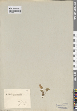 LE 01270935