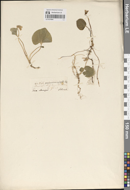 LE 01270944