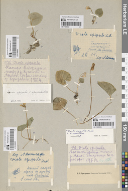 LE 01288091