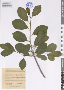 LE 01108208