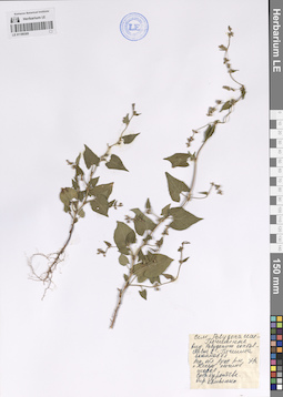 LE 01189305
