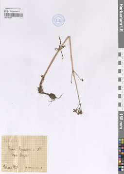 LE 01189388