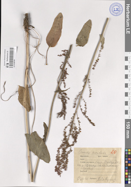 LE 01209106