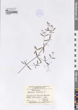 LE 01200974