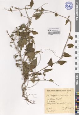LE 01209168