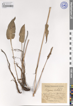 LE 01209171