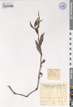 LE 01209176