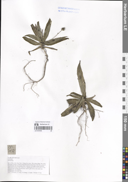 LE 01276104