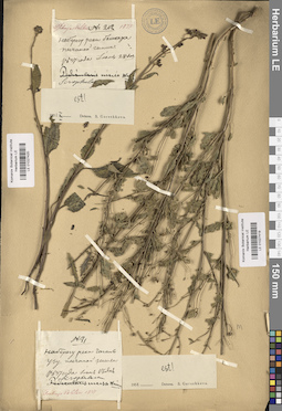 LE 01027419