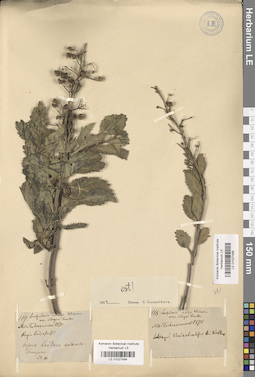 LE 01027494