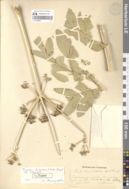 LE 01065892