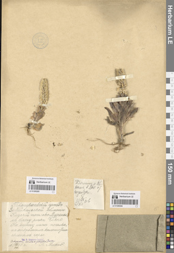 LE 01285285