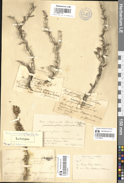 LE 01280540