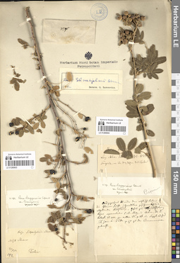LE 01280603