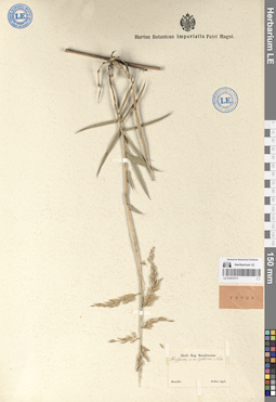 LE 01072717