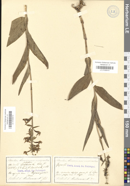 LE 01030413