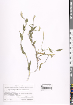 LE 01276190