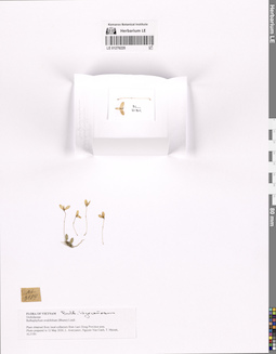 LE 01276220