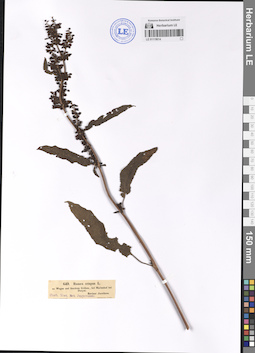 LE 01119014