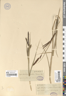LE 01289253
