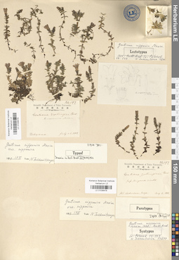 LE 01036479