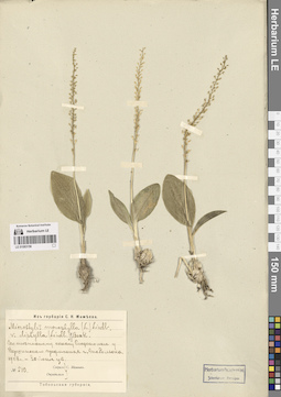LE 01083156