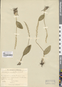 LE 01083157