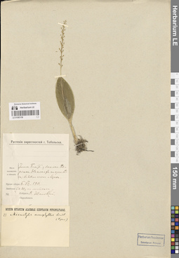 LE 01083158