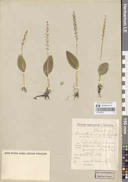 LE 01083160