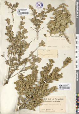 LE 01070424