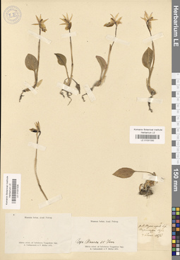 LE 01031329