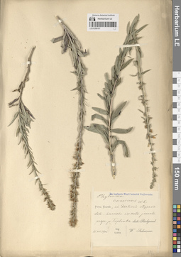 LE 01290197